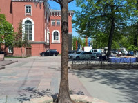 дерево