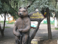 деткий сад Золотой петушек